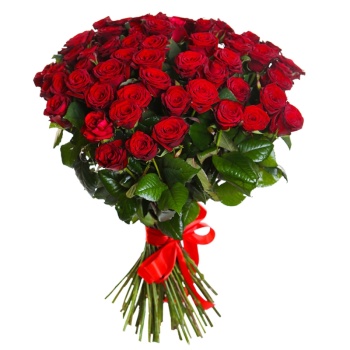 Букет из 55 красных роз (50 см)