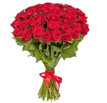 Букет из 51 красной розы (60 см)