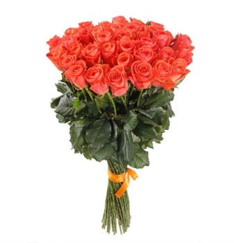 Букет из 55 коралловых роз (70 см)