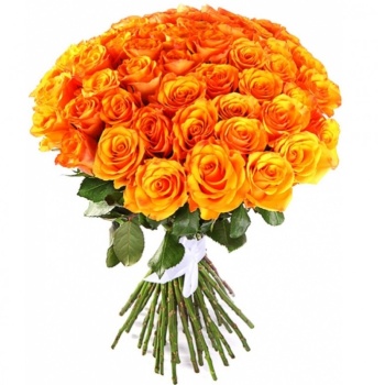Букет из 51 оранжевой розы (70 см)