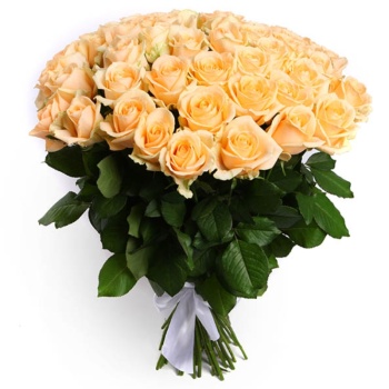 Букет из 55 кремовых роз (40 см)