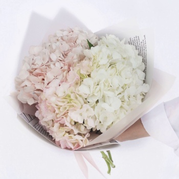 Букет "Гортензия"