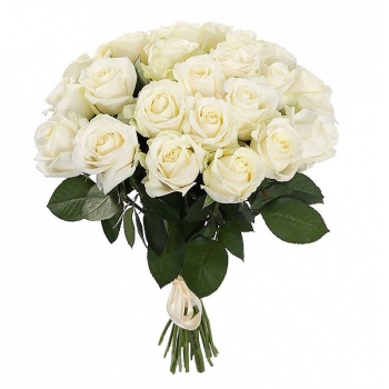 Букет из 31 белой розы (50 см)