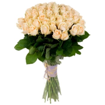 Букет из 55 кремовых роз (60 см)