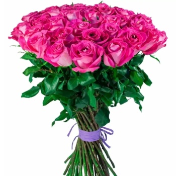 Букет из 31 малиновой розы (60 см)