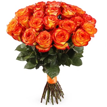 Букет из 25 оранжевых роз (60 см)