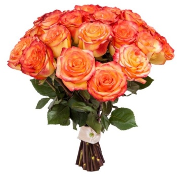 Букет из 25 оранжевых роз (40 см)