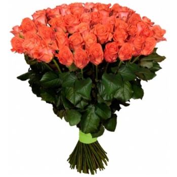 Букет из 55 коралловых роз (60 см)