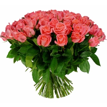 Букет из 55 коралловых роз (40 см)