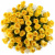 Букет из 55 желтых роз (60 см)