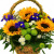 Букет сборный в корзине "Натюрморт"
