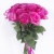 Букет "Малиновое соло"