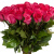 Букет из 31 малиновой розы (50 см)