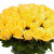 Букет из 55 желтых роз (40 см)