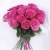 Букет "Малиновое соло"
